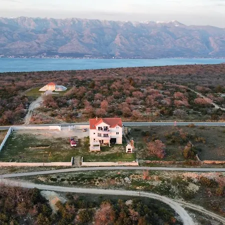 Niko * Zadar